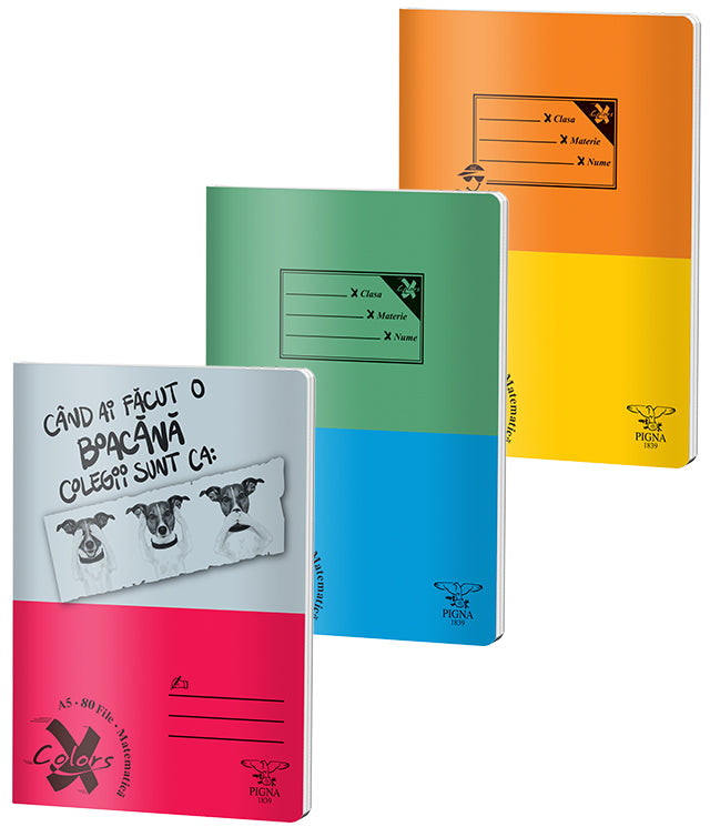 CAIET A5 80 FILE ARITMETICA BASIC PIGNA CAIET A5 80 FILE ARITMETICA BASIC PIGNA
